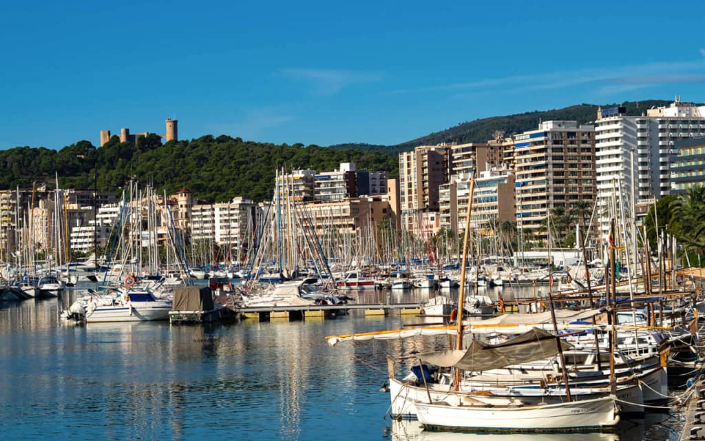 palma limanı